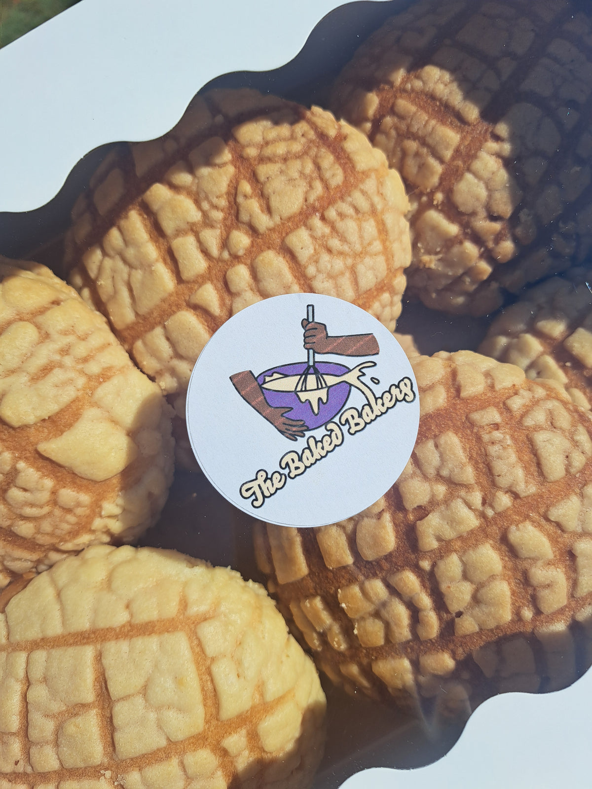 Conchas