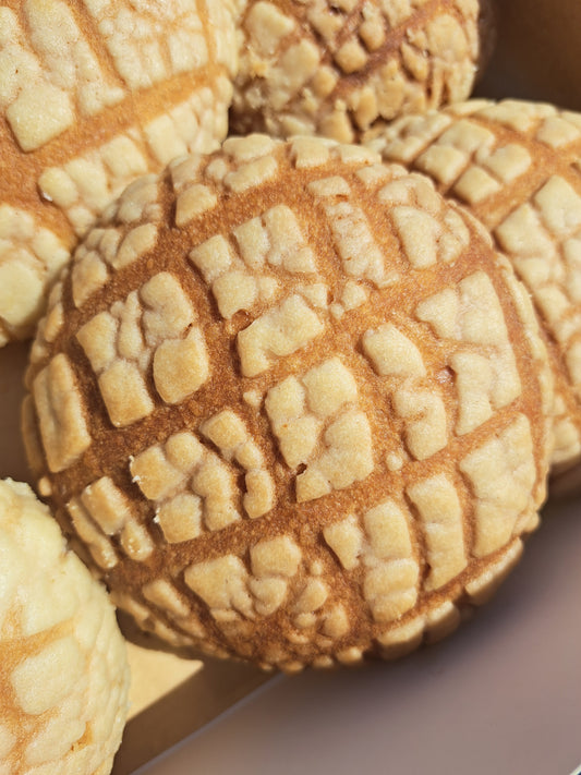 Conchas